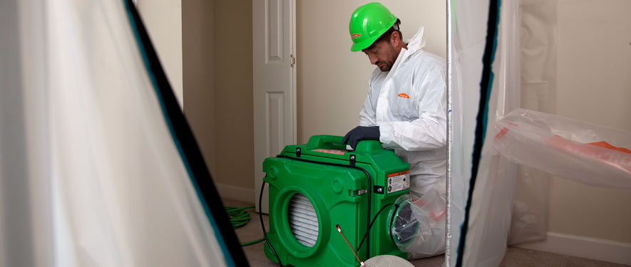 Mequon, WI mold cleanup